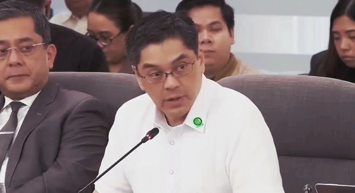 ICI Executive Director Brian Hosaka (Screenshot from livestream)