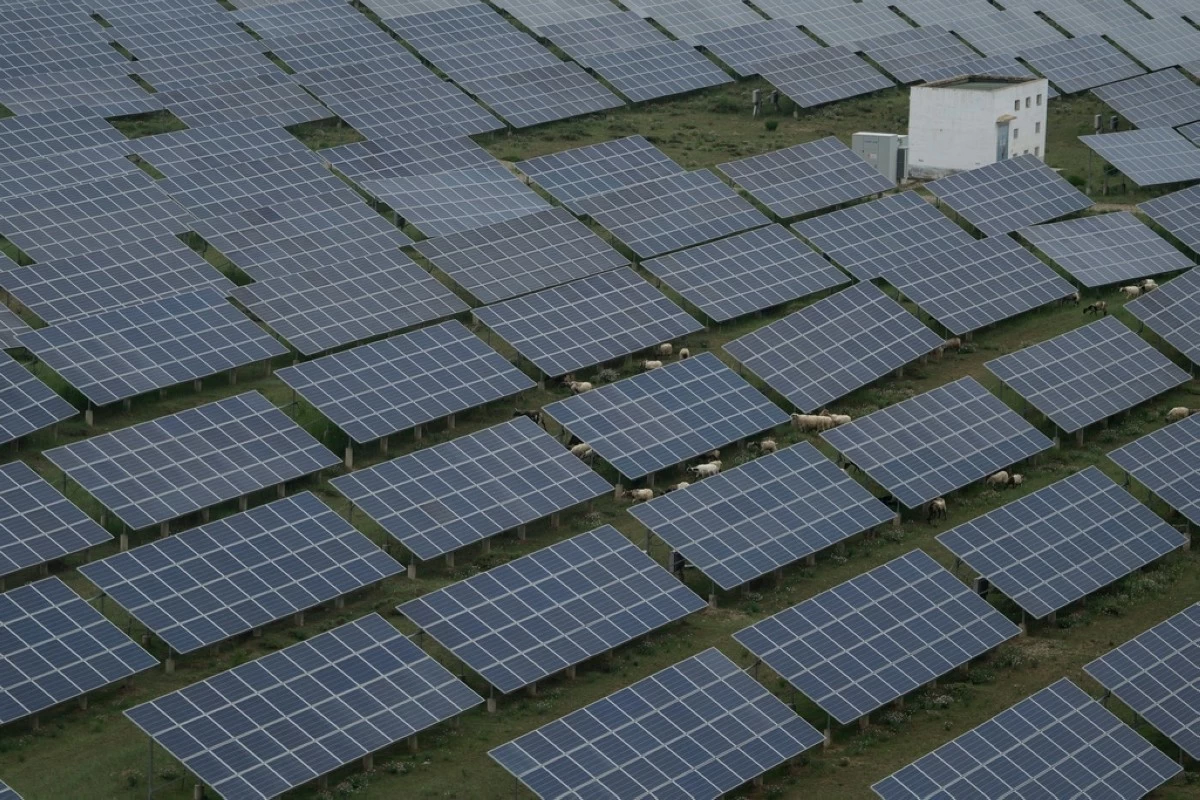 Sheep graze under solar panels in Hainan prefecture of western China's Qinghai province on Tuesday, July 1, 2025. (AP Photo/Ng Han Guan)