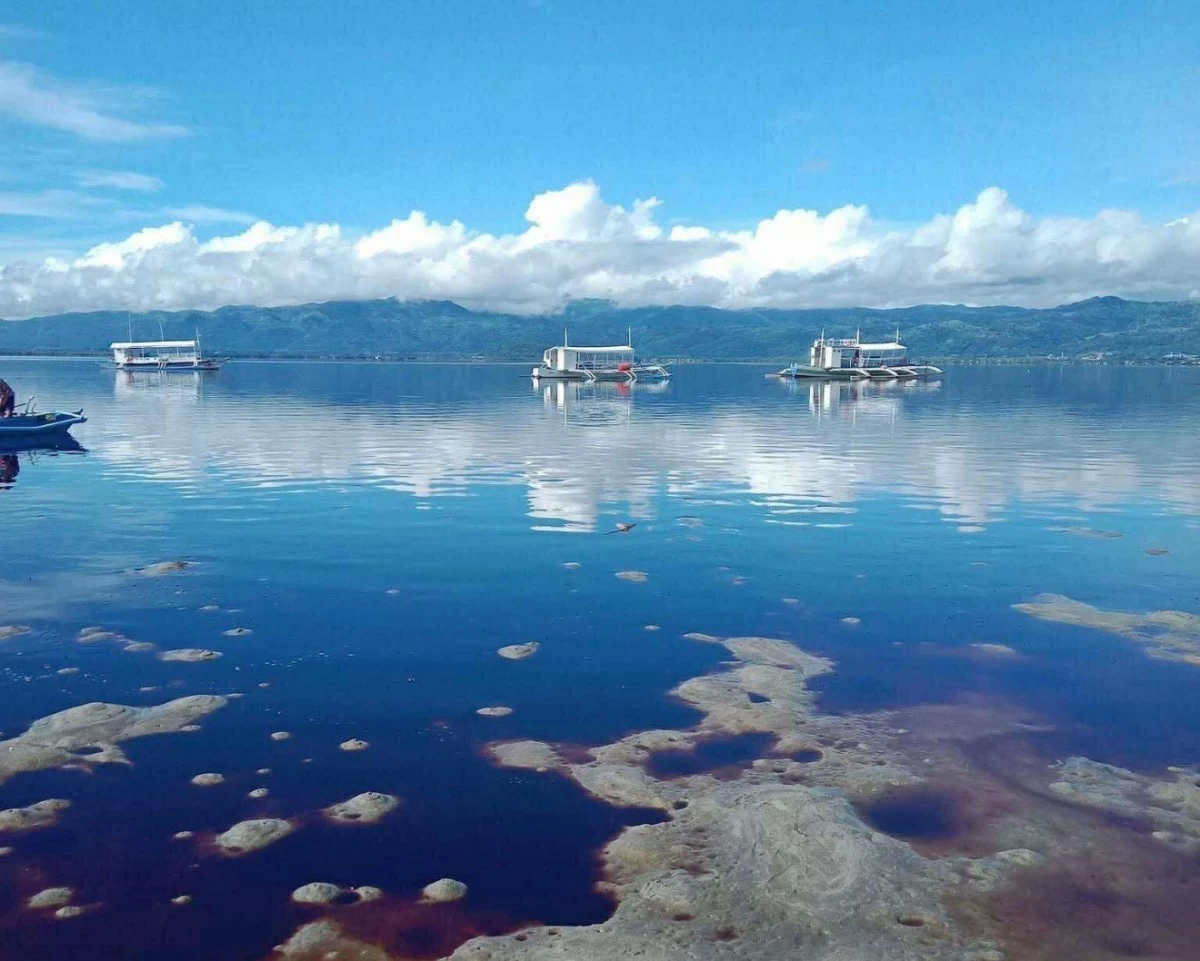(PHOTO: PAMALAKAYA NEGROS)