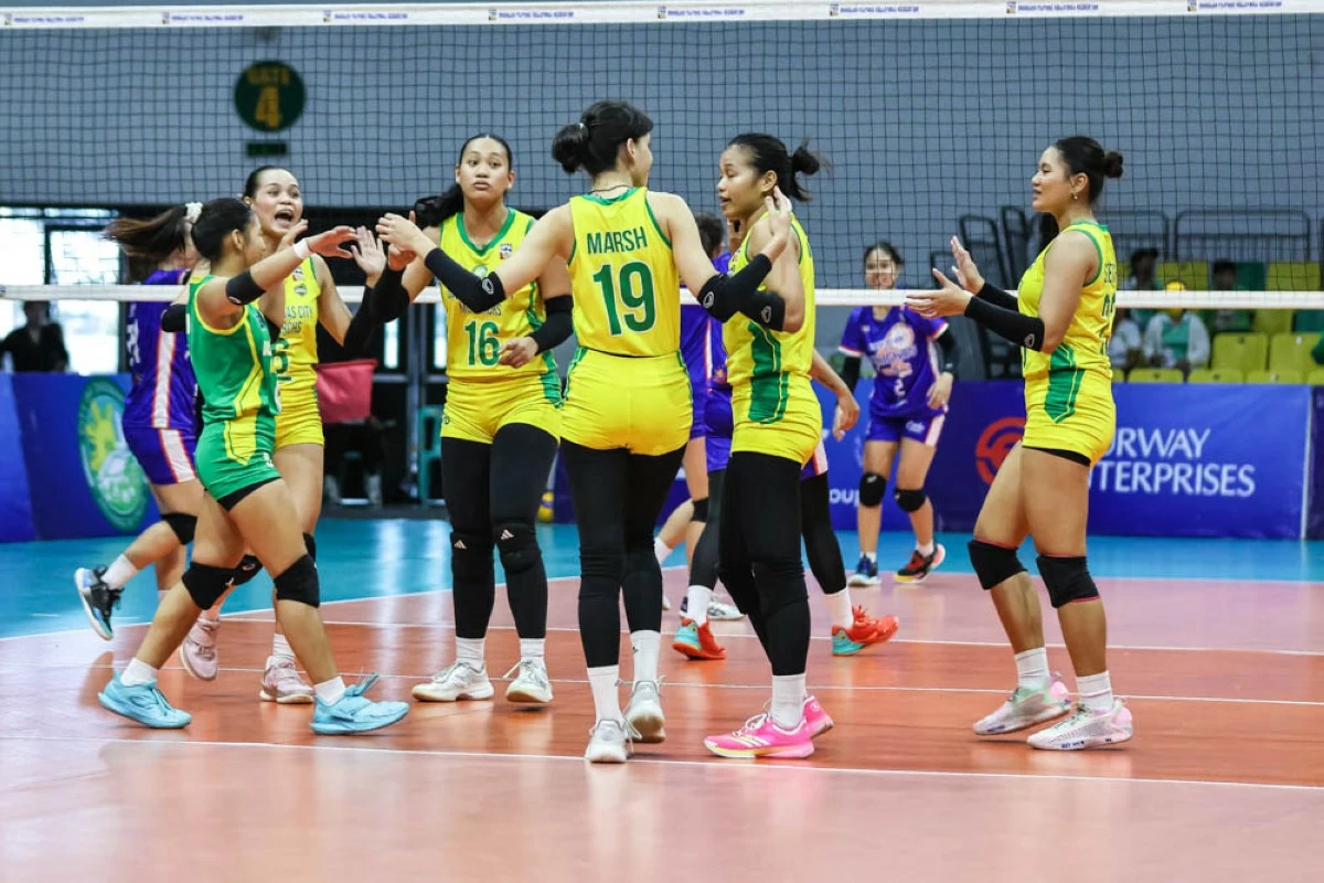 Dasmariñas Monarchs (MPVA)