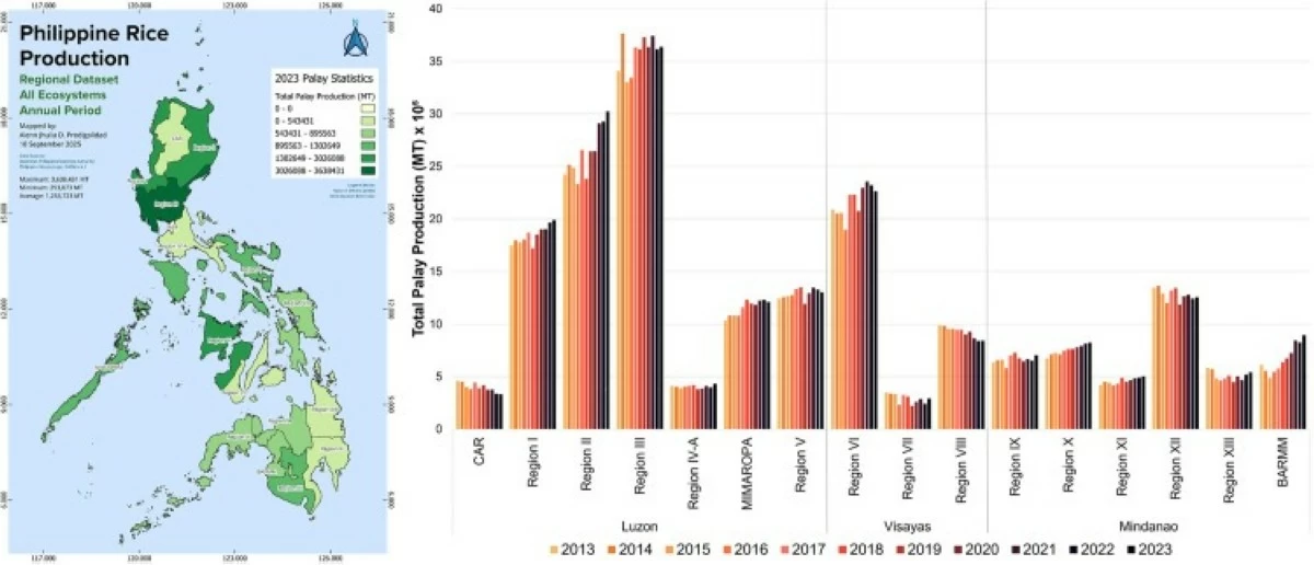 Regional differences in total production of unmilled rice in the Philippines from 2013 to 2023, based on PSA data. Source: Bartelet et al., 2025 