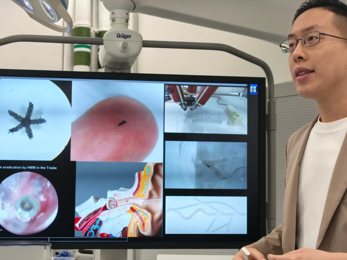 Professor Tony Chan explains how the tPA-nbots work. 