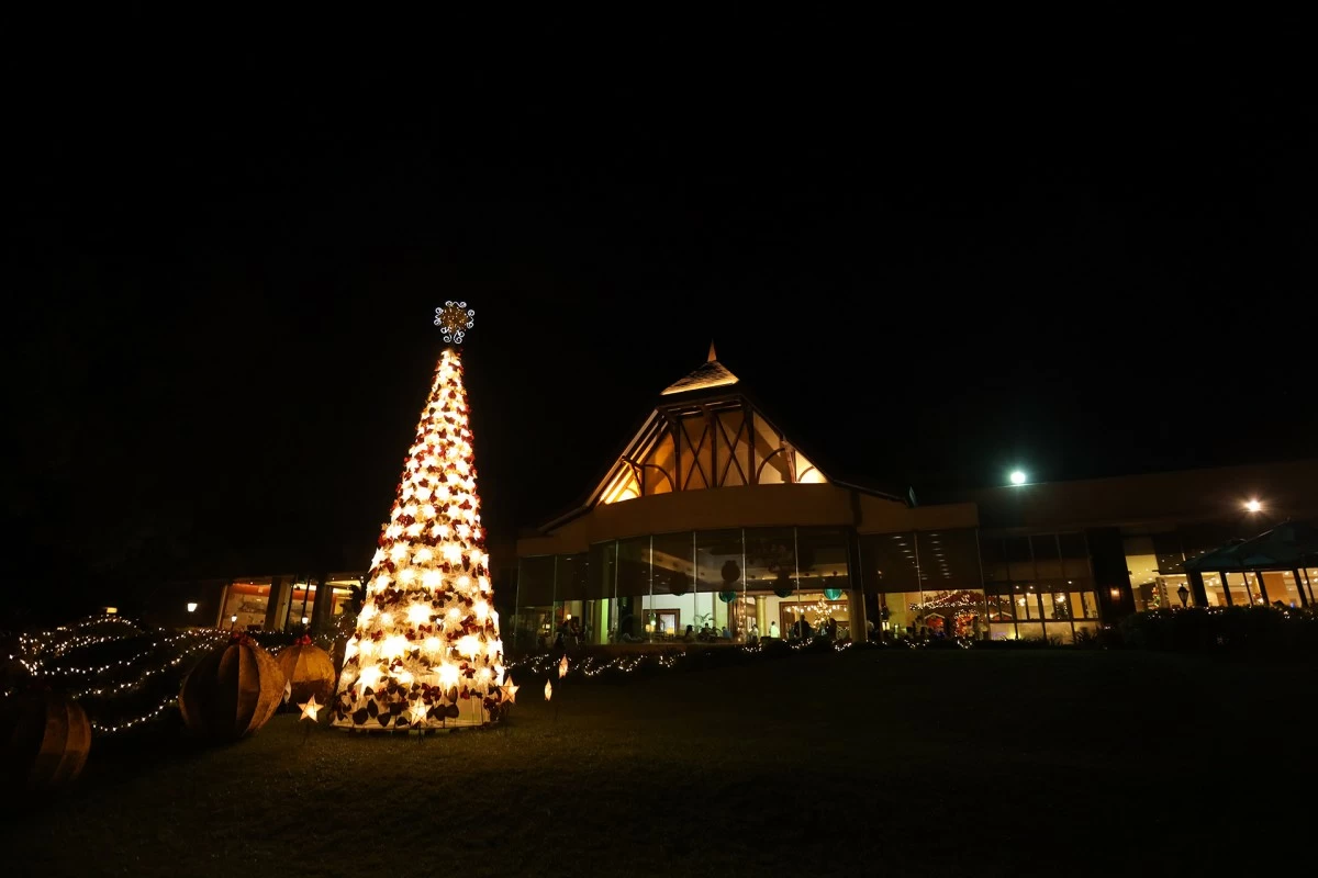 The hotel’s outdoor Capiz Christmas Tree, beautifully handcrafted by Pampanga artisans, shining brightly to welcome the holiday season.