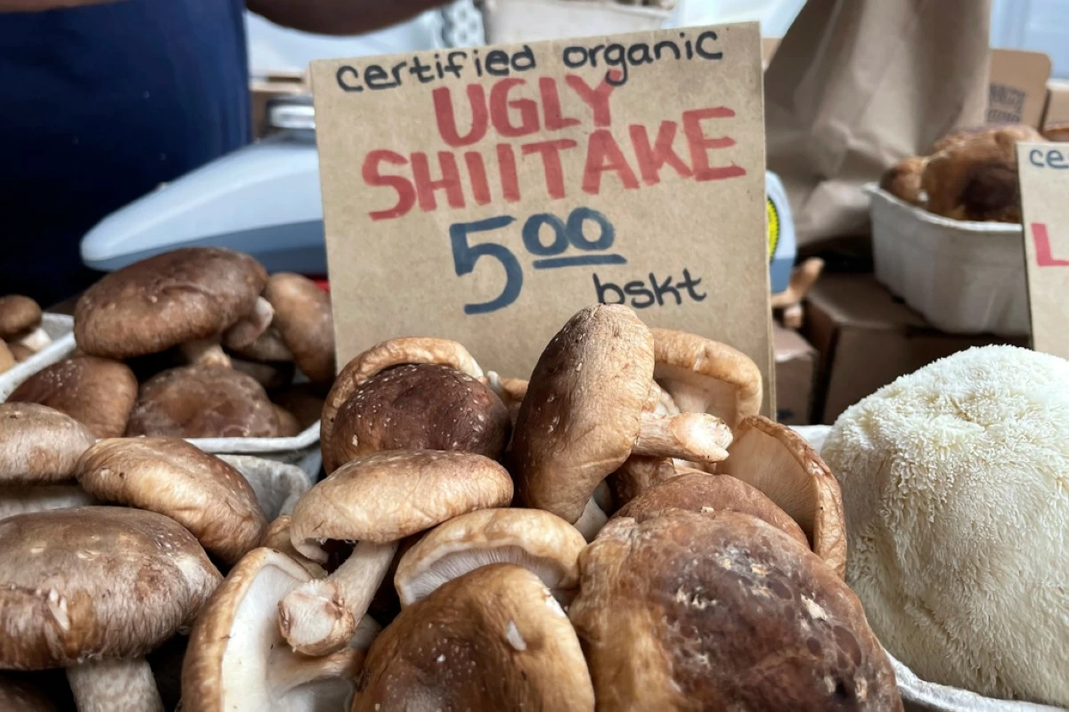 FILE - Shiitake mushrooms are displayed at the stand of a farmer who sells 