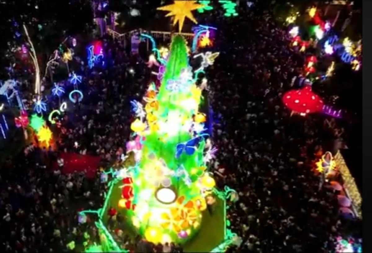 The giant eco-friendly Christmas Tree that stands 50 feet tall is lighted on Sumulong Park in Antipolo City (screengrab from Antipolo City gov't FB live stream)  