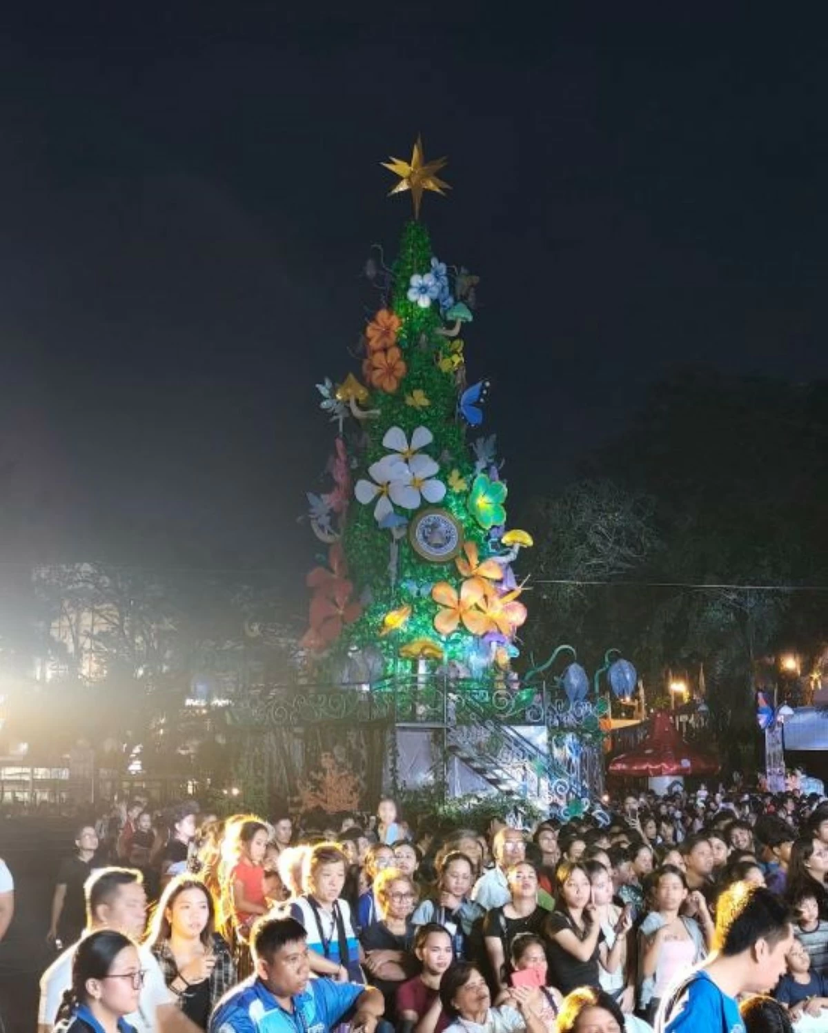 Antipolo City's 50-foot Christmas Tree (photo from Antipolo City gov't social media page)