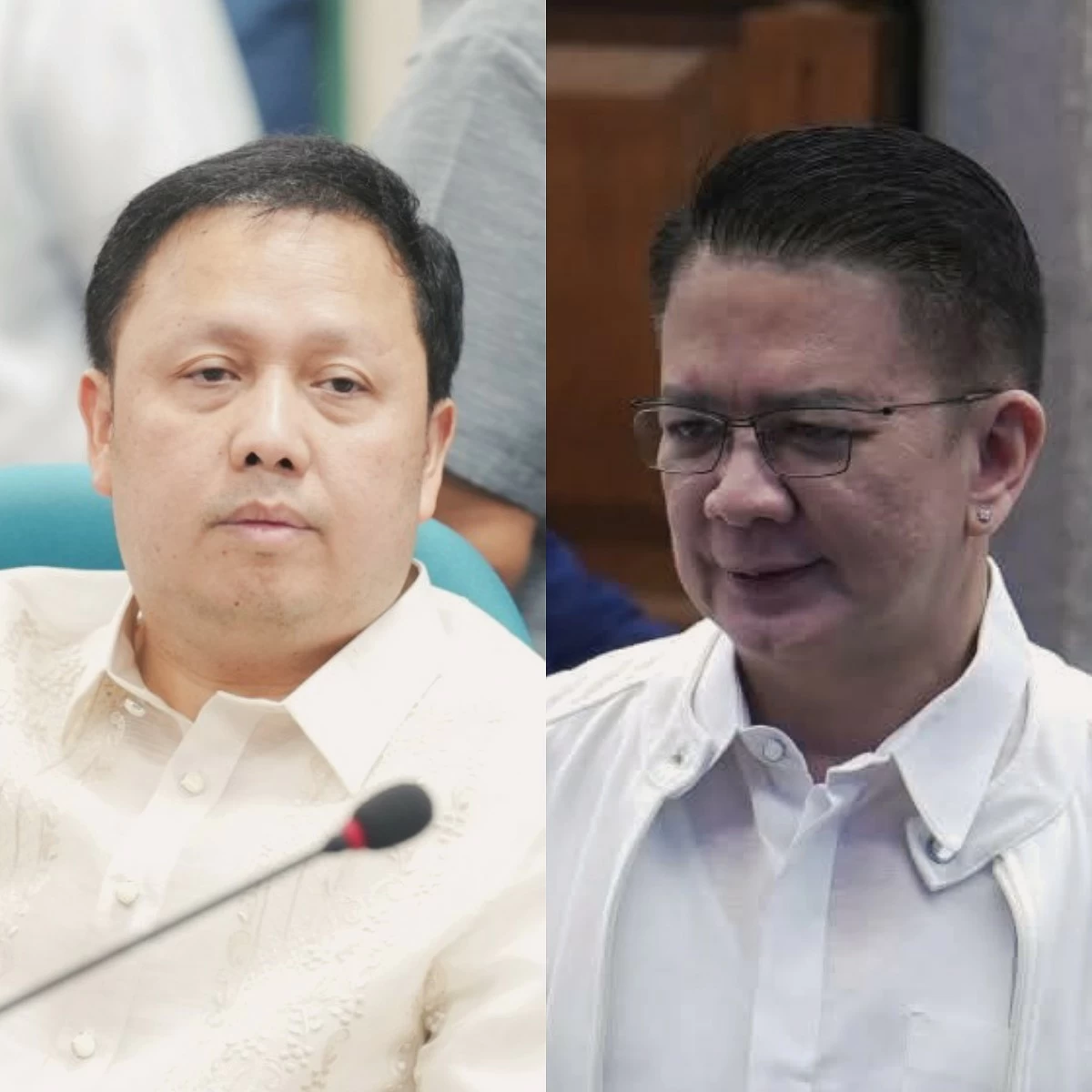 Zaldy Co (left), Senator Francis "Chiz" Escudero (PPAB, Facebook)