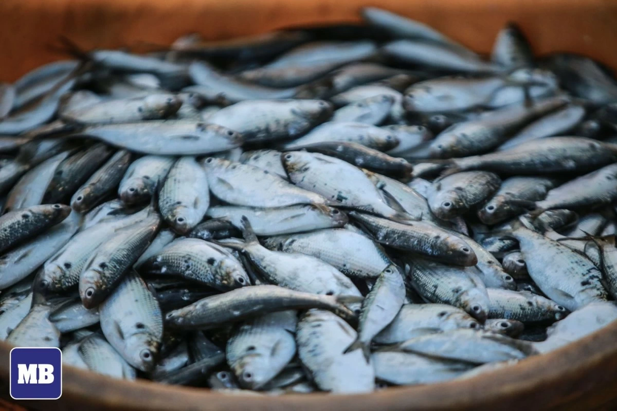 (Manila Bulletin file photo)