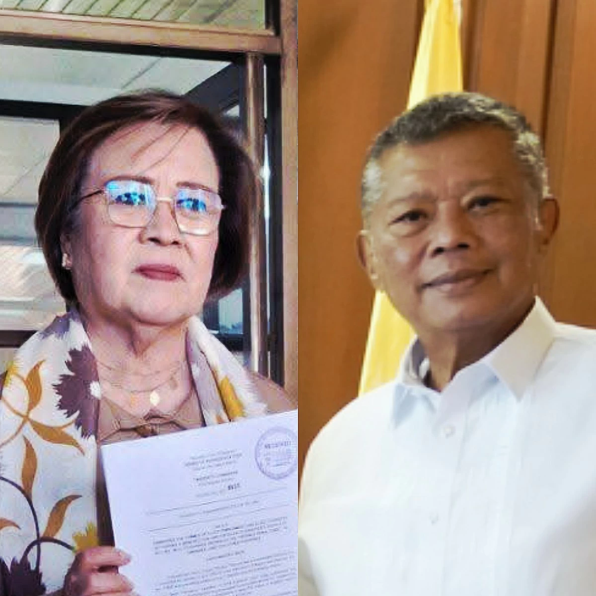 Mamamayang Liberal (ML) Party-list Rep. Leila de Lima (left), Ombudsman Jesus Crispin "Boying" Remulla (Facebook, PPAB)