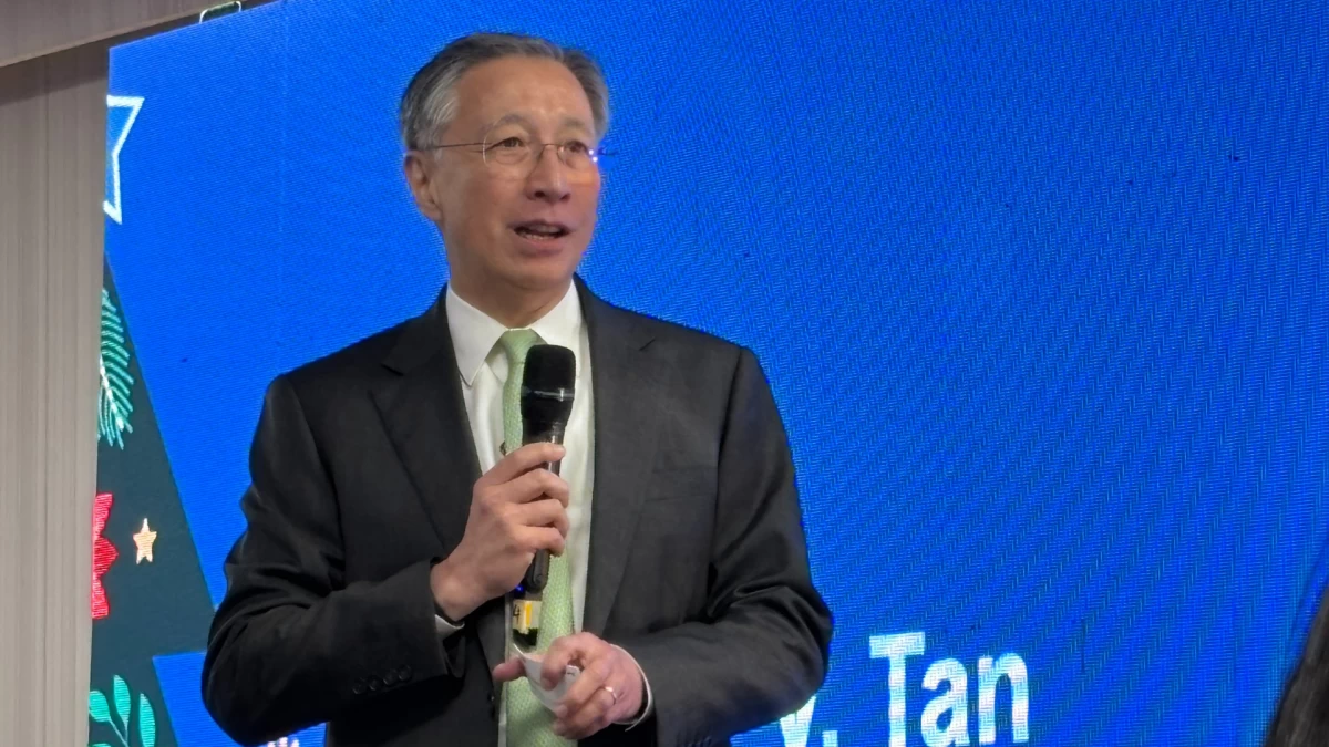 BDO chief warns of prolonged Philippine investment slowdown