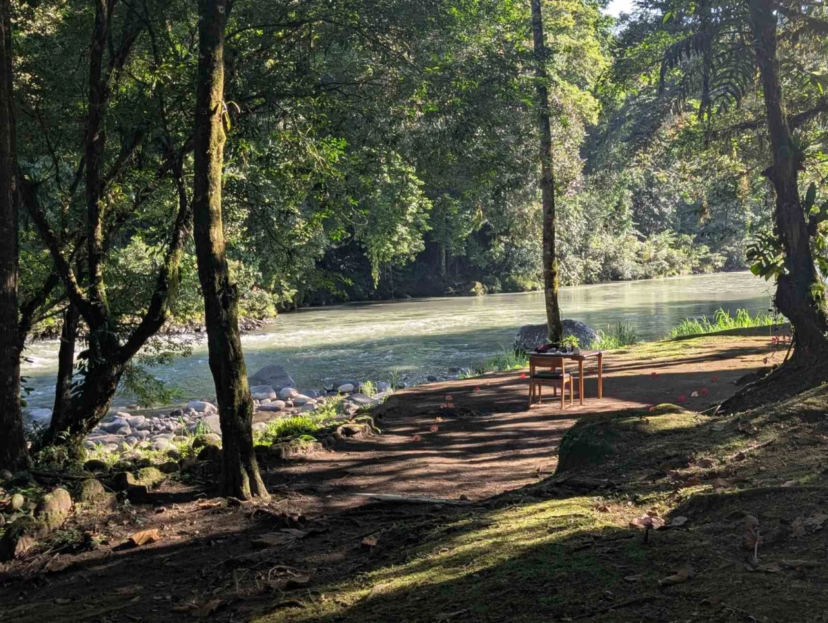 Lush forests help keep rivers clean and vibrant.
