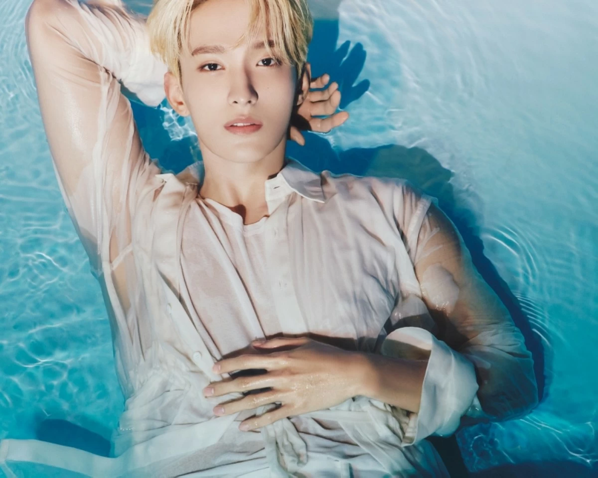 Seventeen's DK (Pledis Entertainment) 