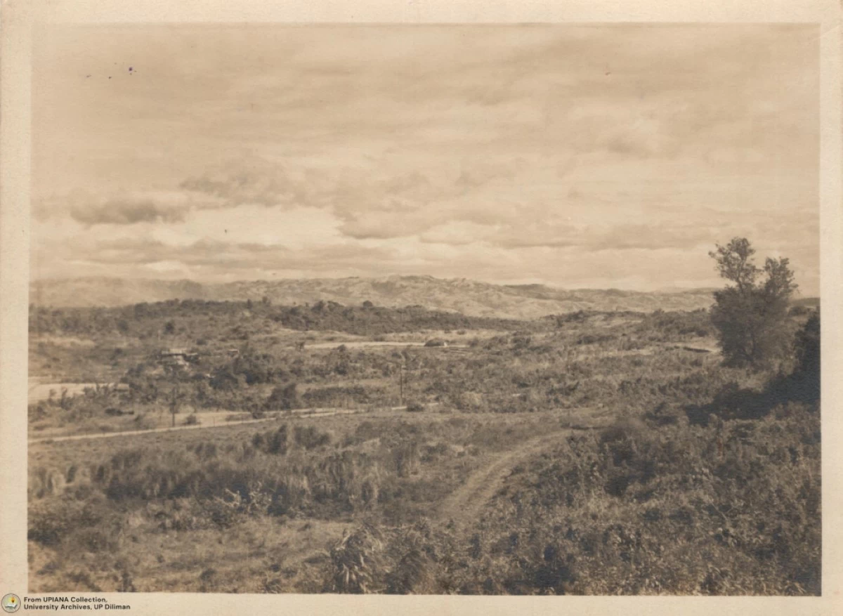 BEFORE EVERYTHING A wide-angle view of Diliman, pre-UP days. (Photo University Archives, UPD)