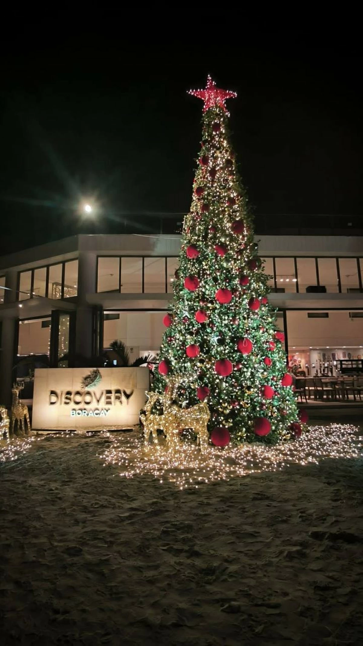 Discovery Boracay's Christmas Tree shining bright