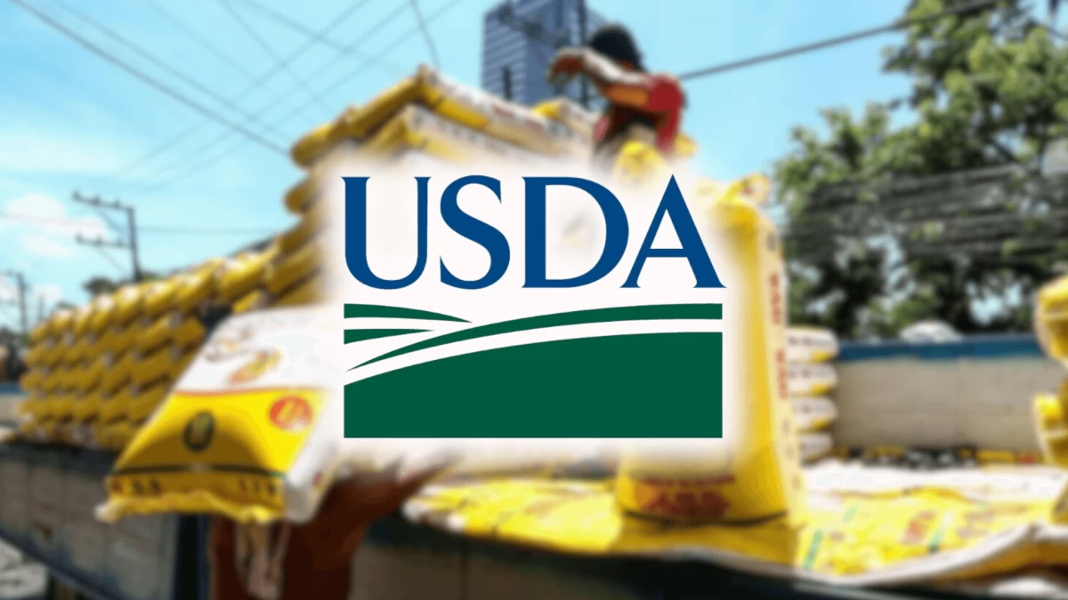 Philippine rice imports seen falling as ban extended