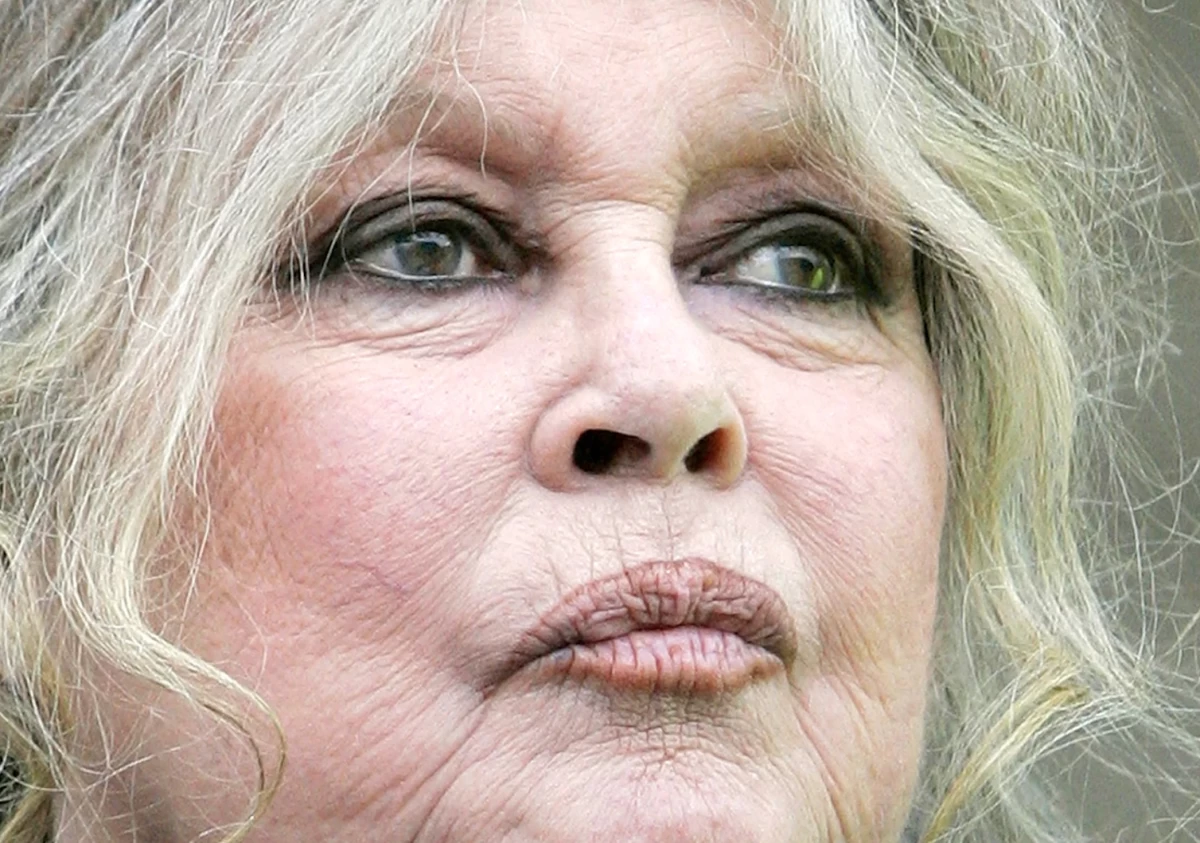 Brigitte Bardot in Paris in March 2007, (AP, Jacques Brinon, file)