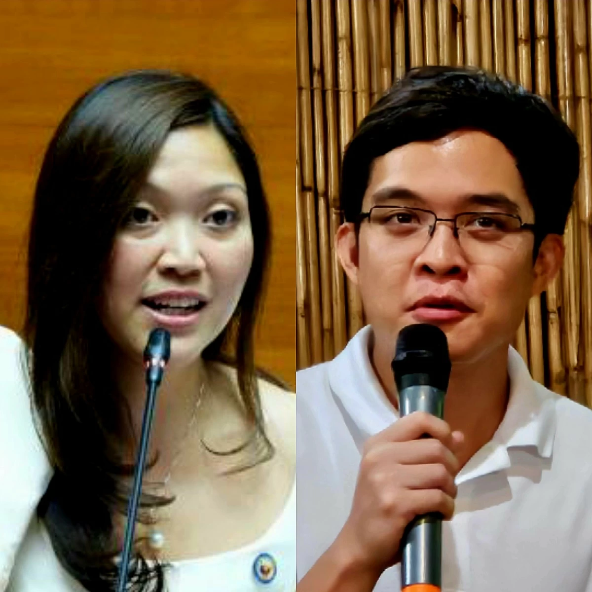 Suansing responds to Leviste: House leadership doesn't influence solons on voting