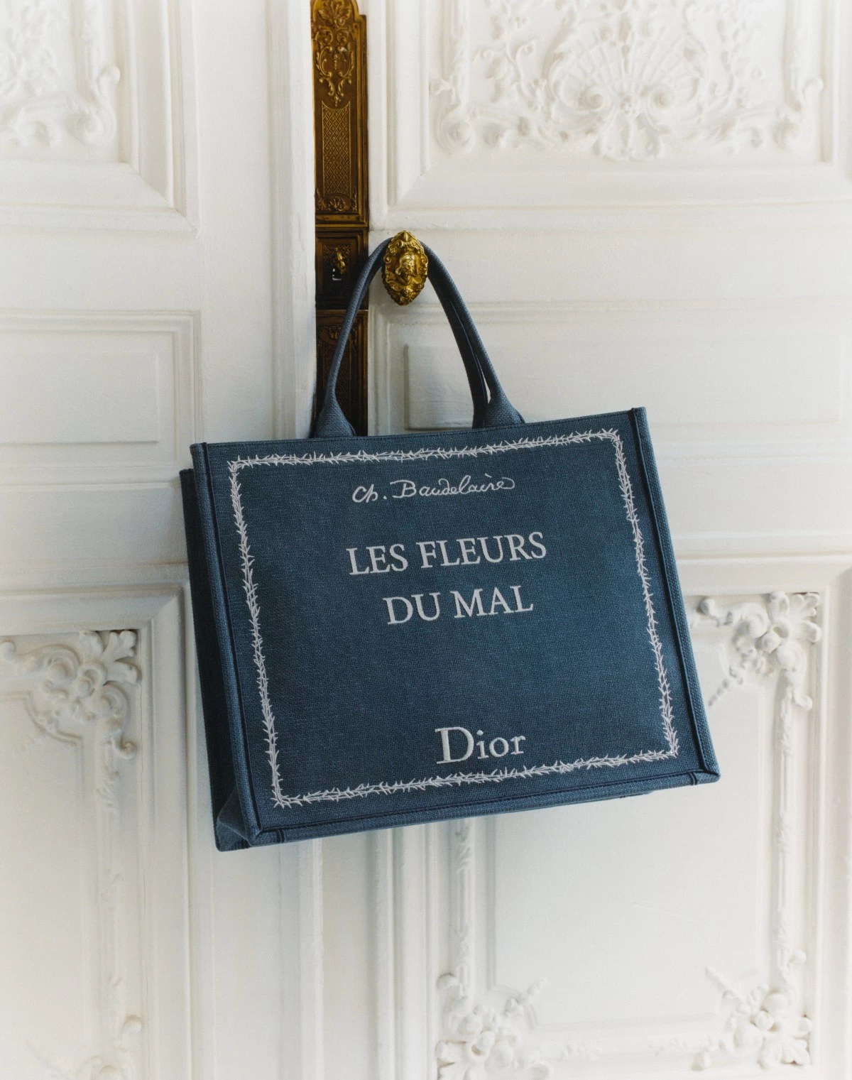 Dior book tote