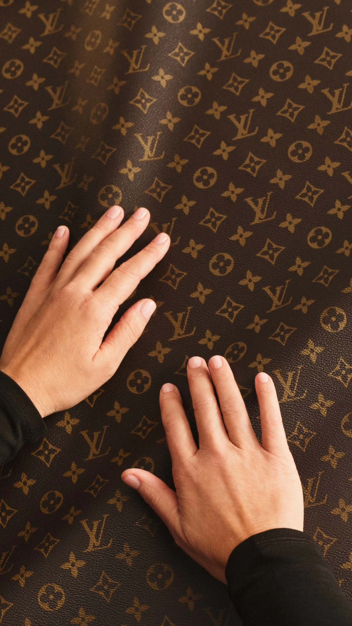 Louis Vuitton Monogram