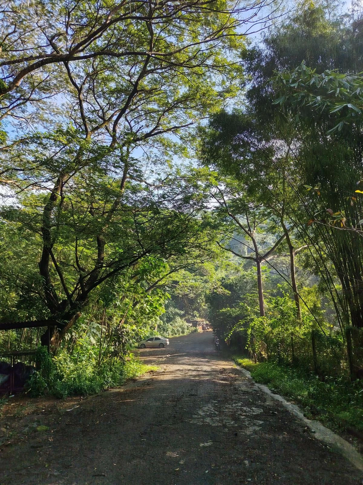 Image taken with the HONOR X9d 5G.