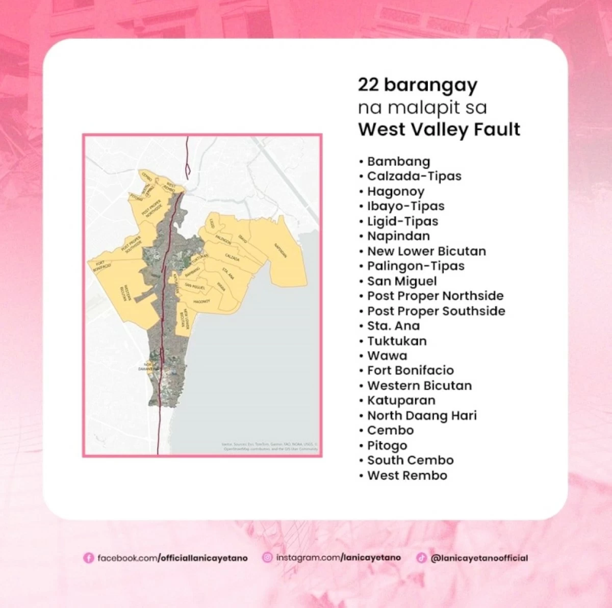 The announcement by Taguig Mayor Lani Cayetano (Photo from Mayor Cayetano's Facebook account) 