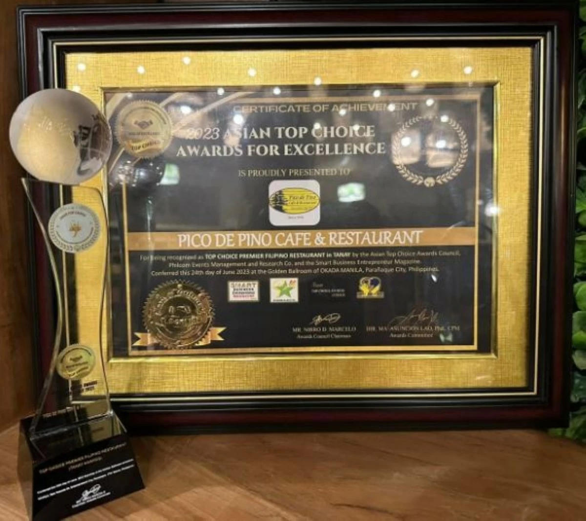 (from Pico de Pino's website)