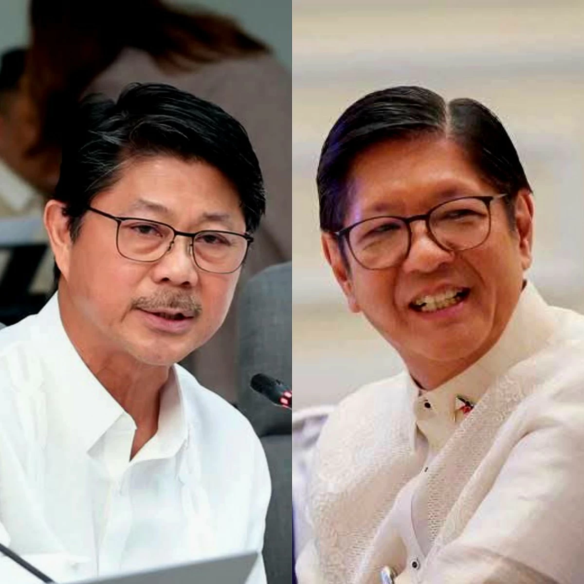 House Speaker Faustino "Bojie" Dy III (left), President Ferdinand "Bongbong" Marcos Jr. (Facebook)