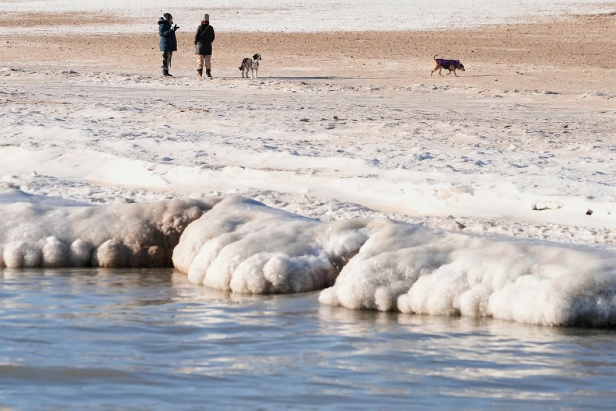 Ice forms along the Lake Michigan shore as People walk their dogs on a beach, Tuesday, Jan. 20, 2026, in Chicago. (AP Photo/Kiichiro Sato)