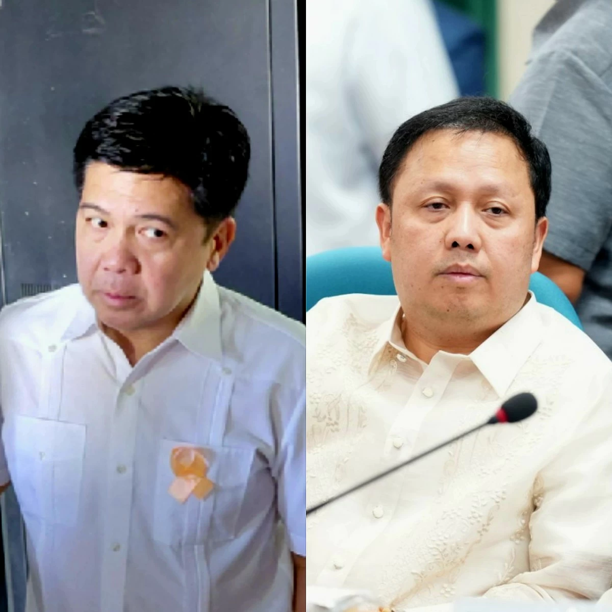 Former Anakalusugan Party-list Rep. Mike Defensor (left), former Ako-Bicol Party-list Rep. Zaldy Co (MANILA BULLETIN, PPAB)