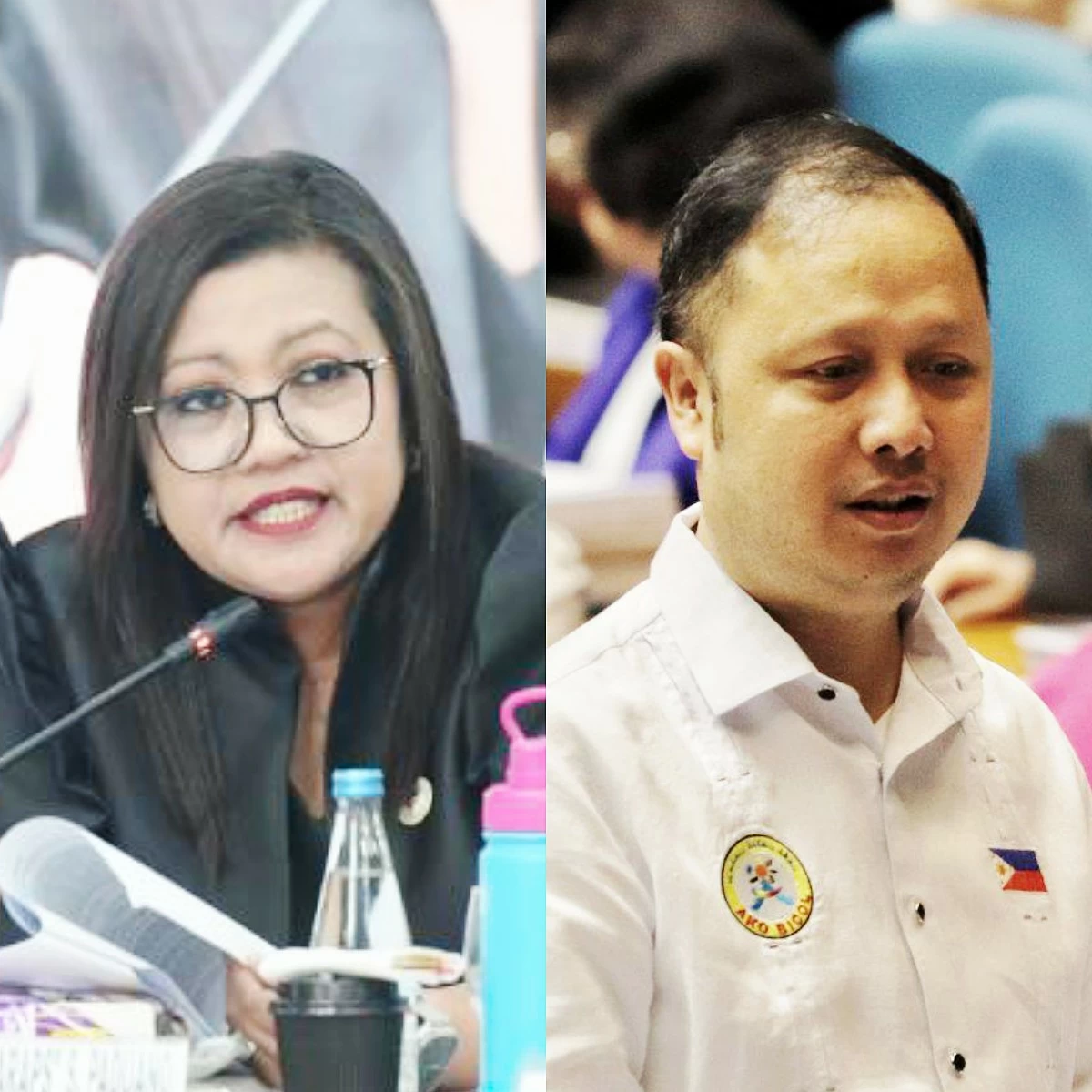 Zaldy Co must return to the Philippines if he wants to testify in Marcos impeachment--Luistro