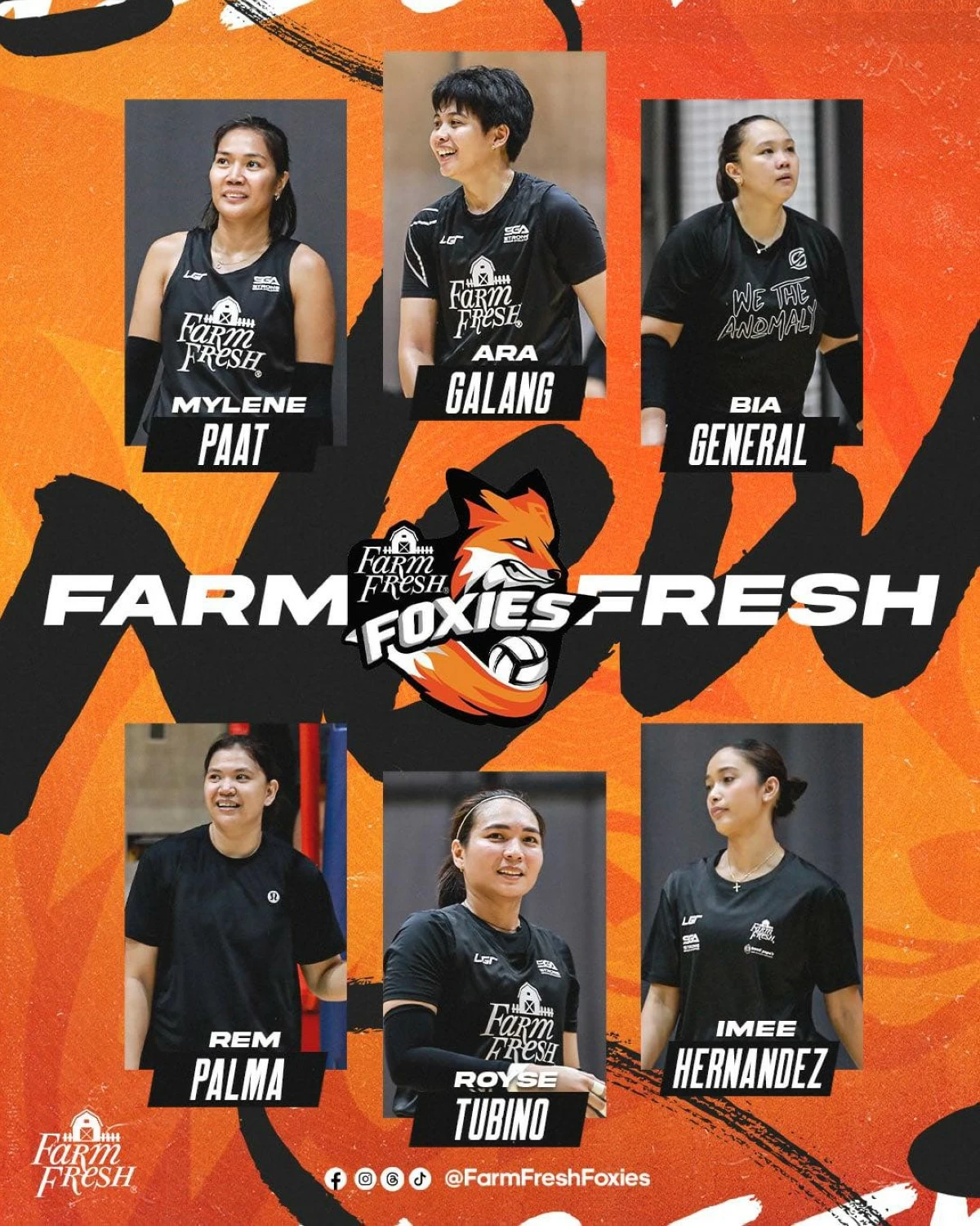 Photo from Farm Fresh Foxies Facebook