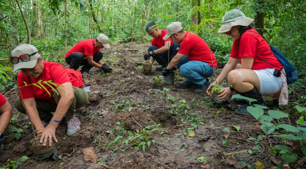 Coca-Cola Philippines employee volunteers plant native seedlings as part of ongoing reforestation efforts.
