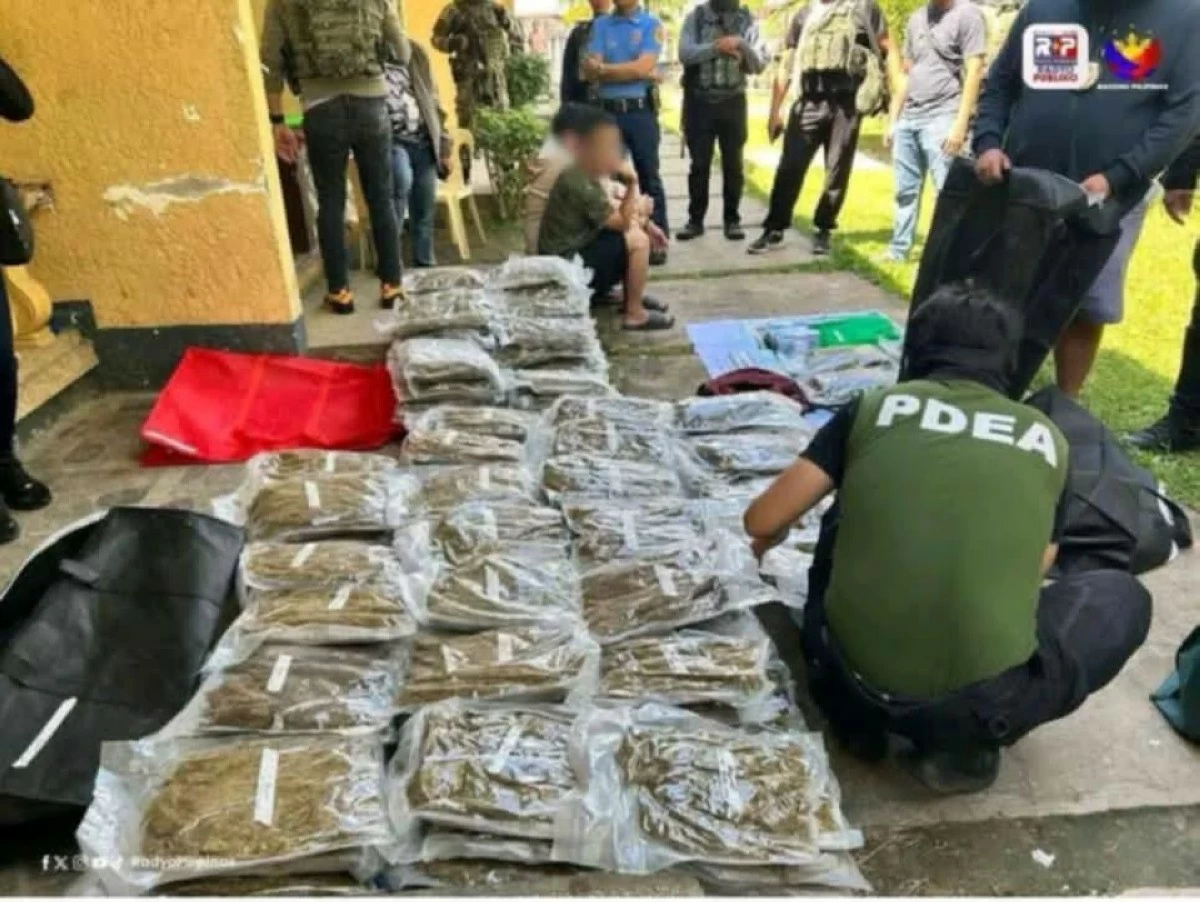 MARIJUANA kush recovered in Basian