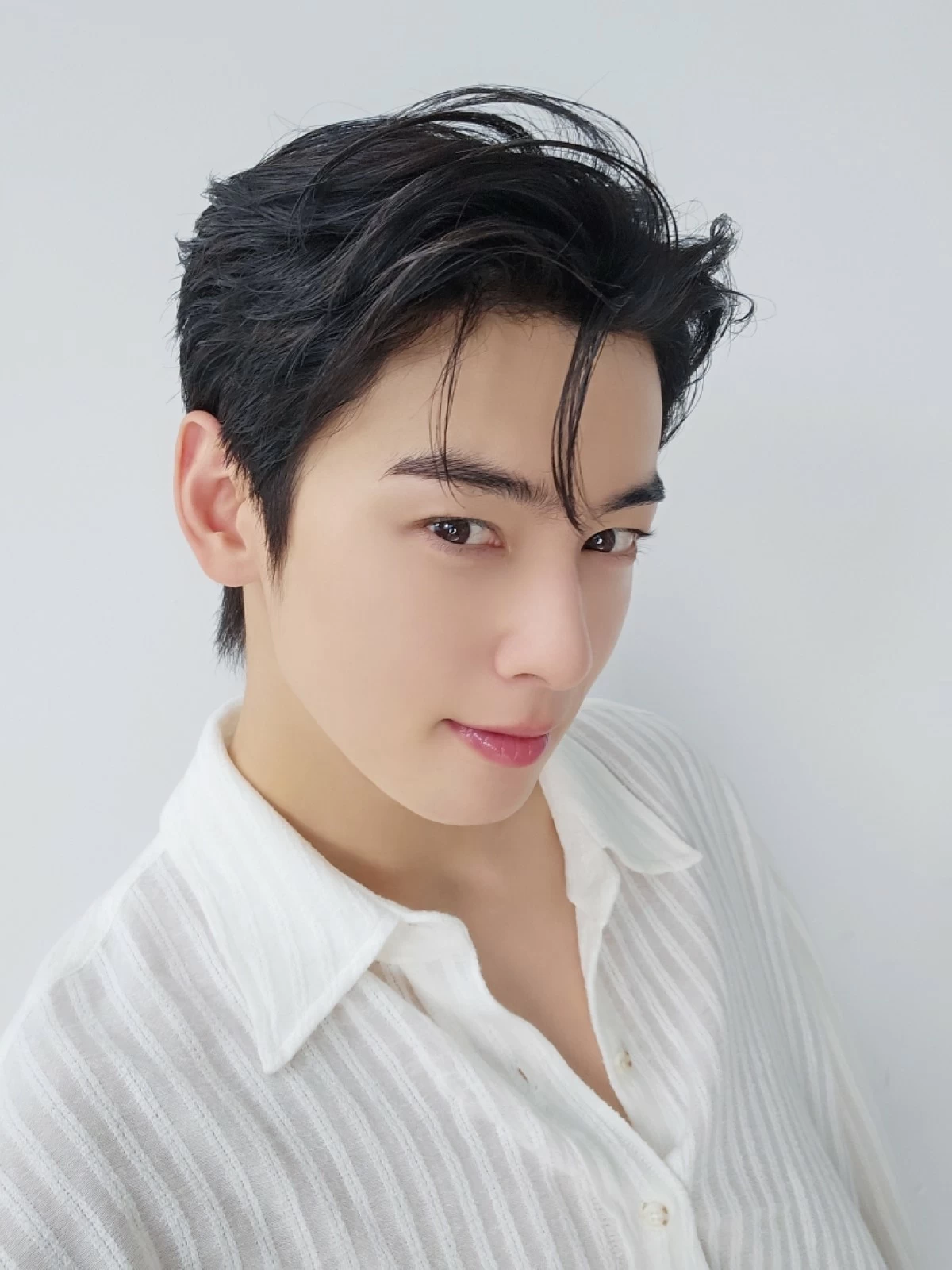 Korean star Cha Eun-woo (X)