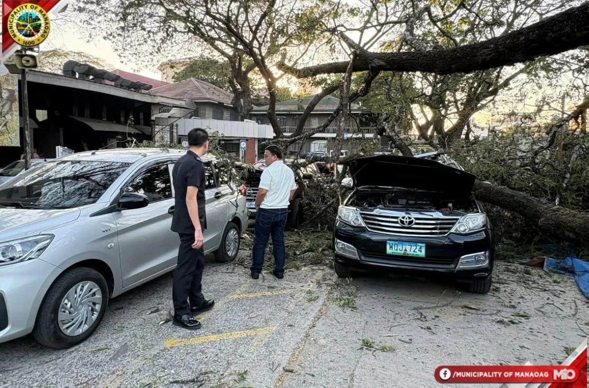 A TOPPLED tree damaged several parked inside the Manaoag Church in Pangasinan. 