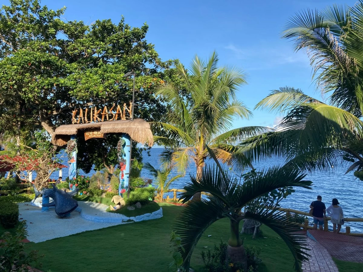 DIVE INTO ADVENTURE Go for a leisurely swim with aquatic life at Panglao Kalikasan Resort.