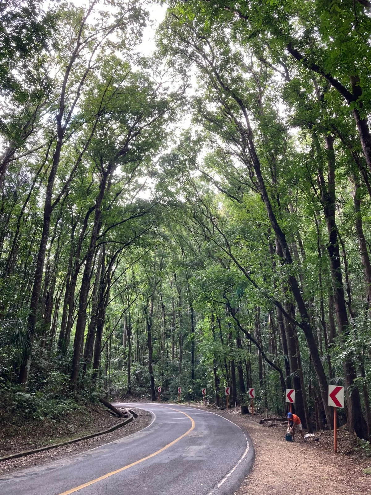 ROAD TRIP Travelers can take a quick photo op along this roadside when no cars are around.