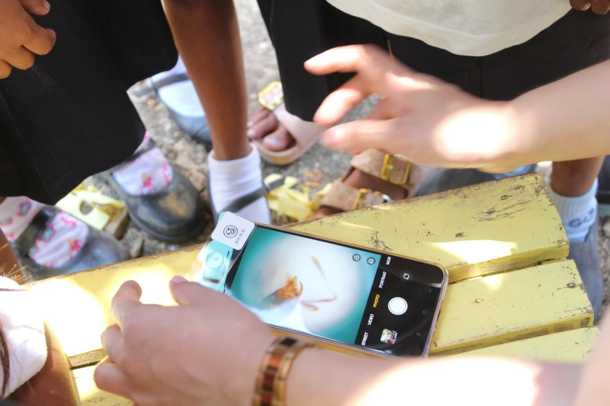 CLOSER LOOK An ant sample viewed using the Make-roscope 