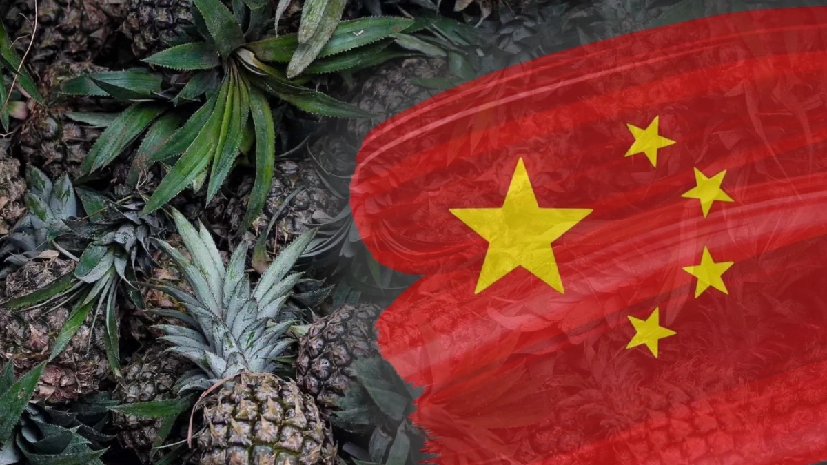 Philippines defends rank as world’s #2 pineapple exporter thanks to China