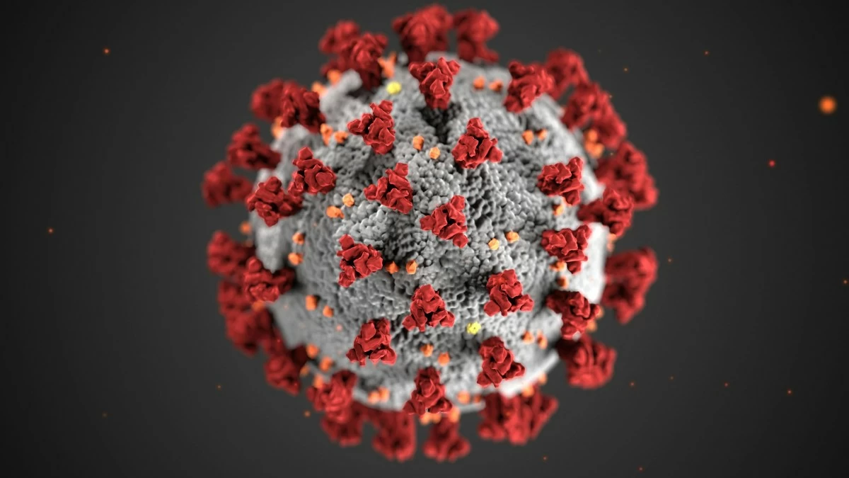 KNOW THE SIGNS Nipah virus symptoms include fever, headaches, and difficulty breathing.