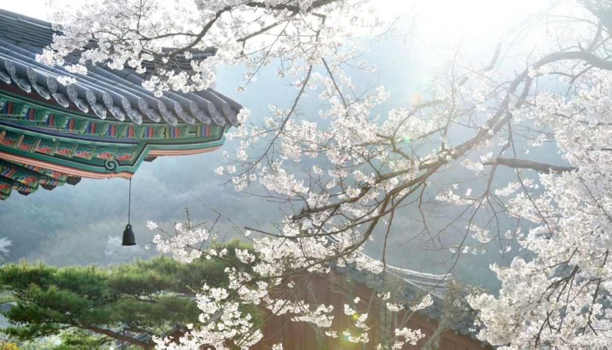 Spring in Korea (KTO Manila) 