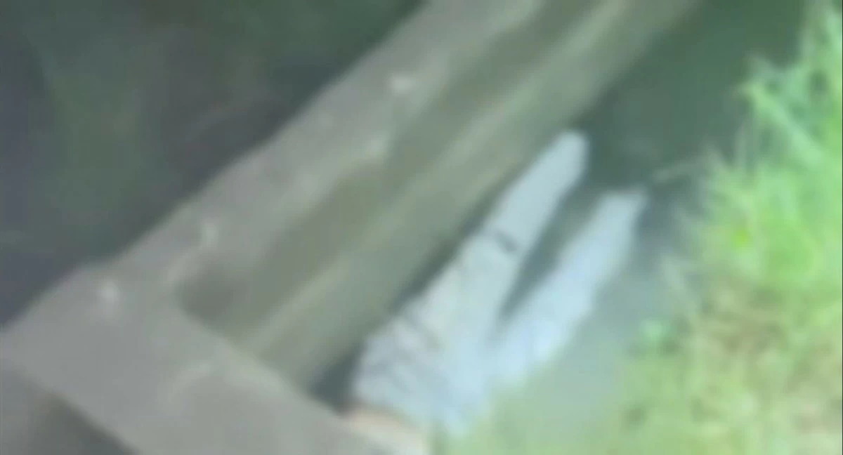 A MONEY lender was killed in Nueva Vizcaya. (FB)