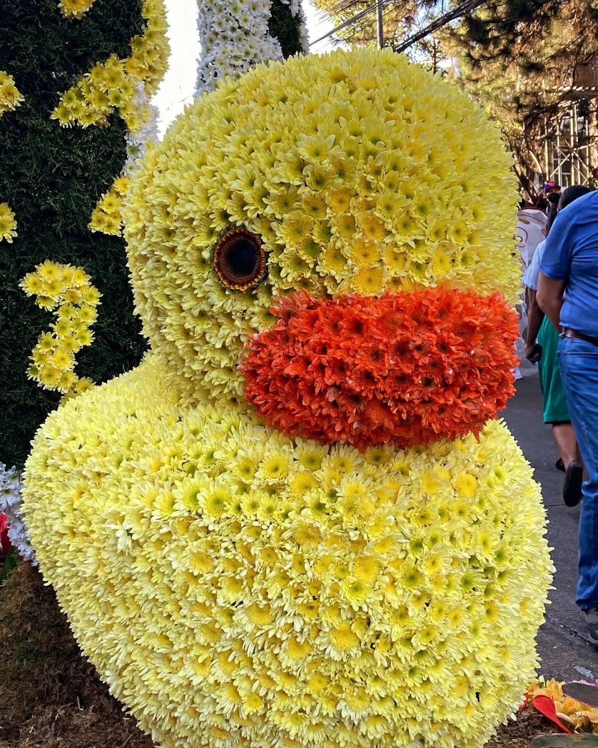 FLORAL WONDERS Panagbenga's annual floral float parade is a sight to behold.