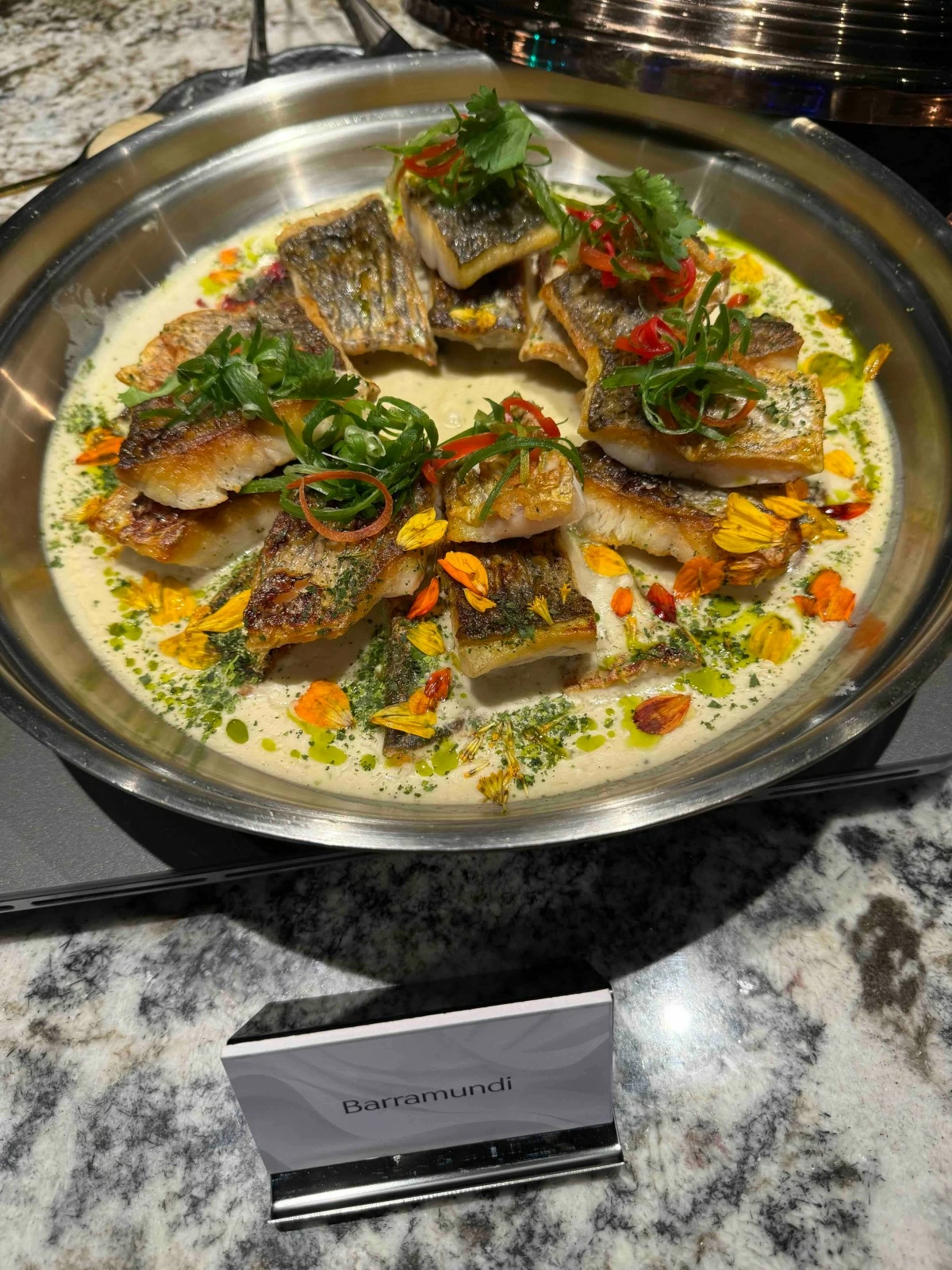 Barramundi