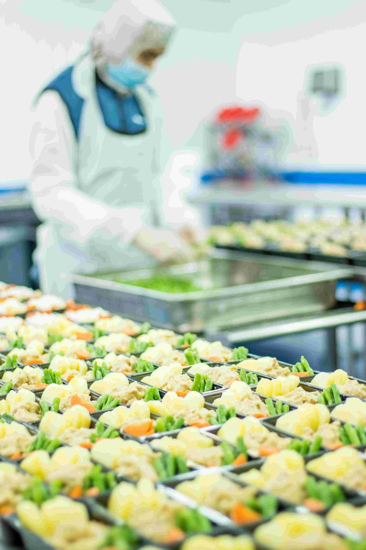 MacroAsia Catering Services, Inc. (MACS) operates an inflight catering kitchen that is located on a two-hectare lot at the Ninoy Aquino International Airport (NAIA) complex.