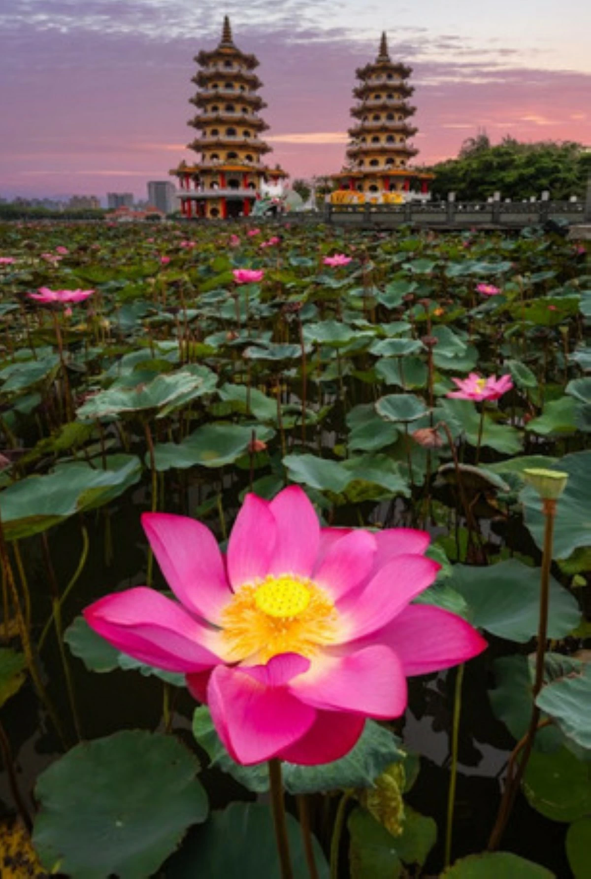 Dragon and Tiger Pagodas, Kaohsiung