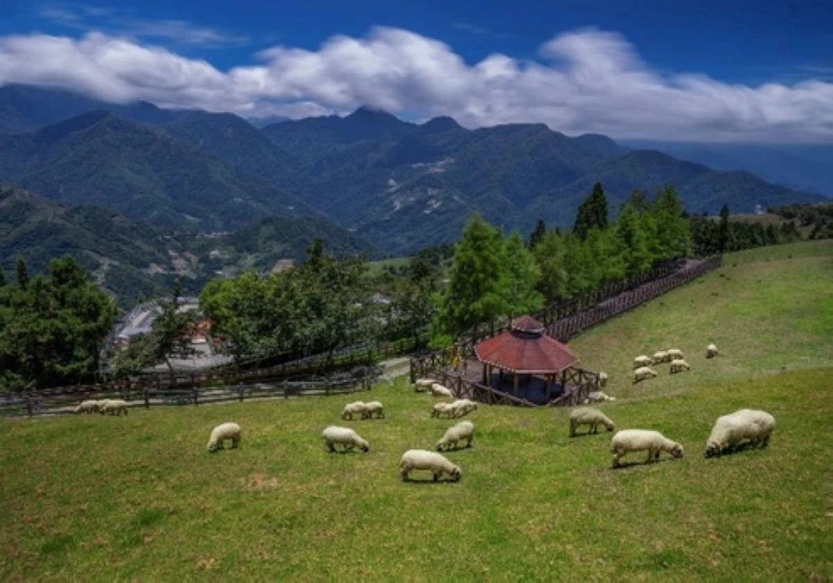 Qingjing Farm, Nantou	