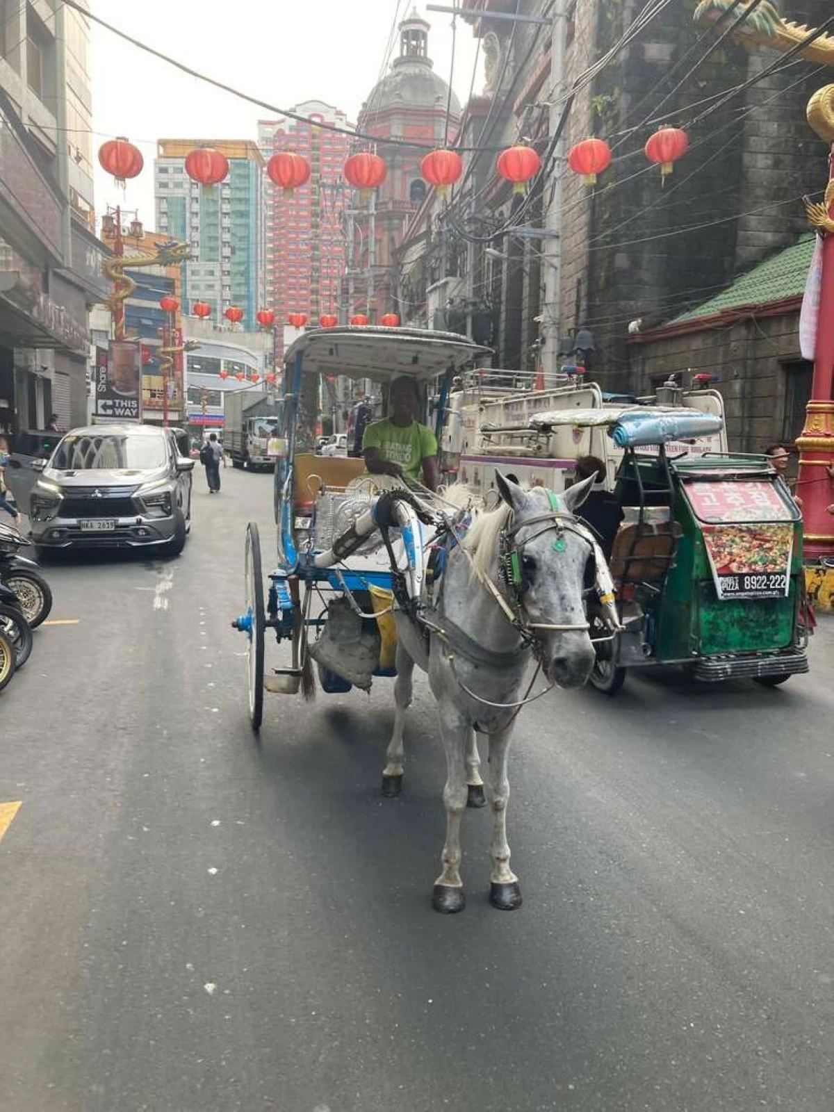 JUST PASSING BY Tourists can enjoy roaming around Chinatown via kalesa.