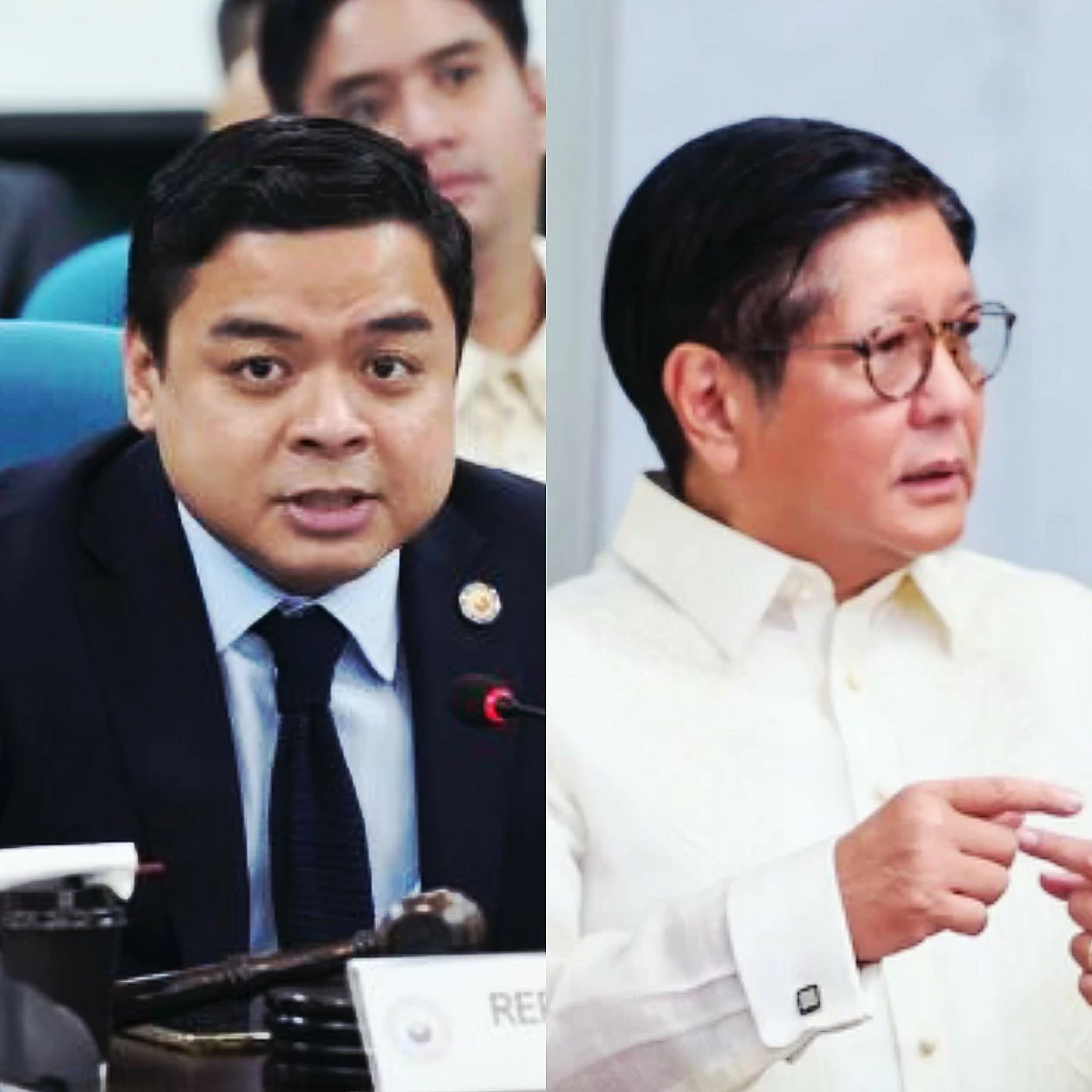 Bicol Saro Party-list Rep. Terry Ridon (left), President Ferdinand "Bongbong" Marcos Jr. (PPAB, Facebook)