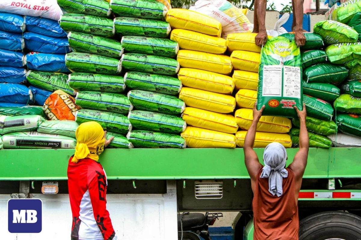 Philippines limits rice imports to 300,000 MT during harvest season